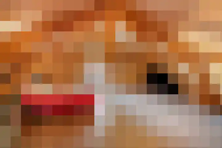 Enkweg 3 Voorst thumbnail 51