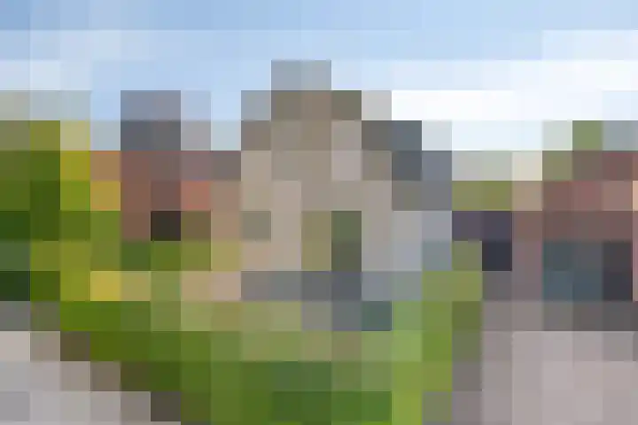 Enkweg 3 Voorst thumbnail 59