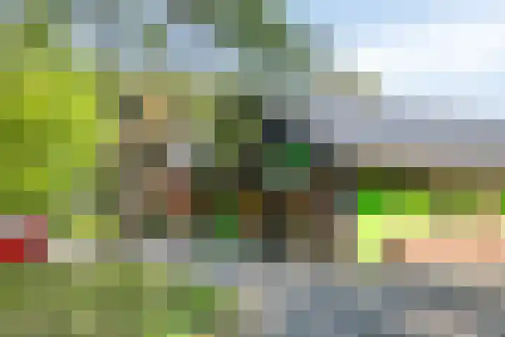 Enkweg 3 Voorst thumbnail 61