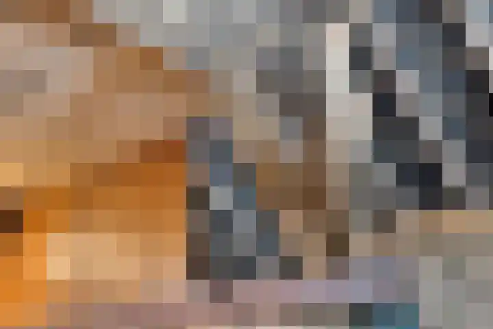 Enkweg 3 Zelhem thumbnail 23