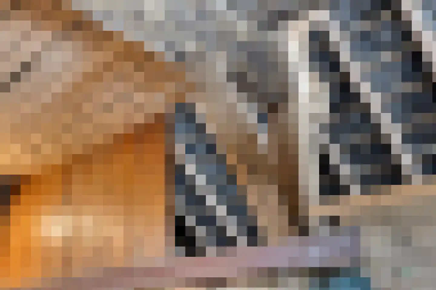 Enkweg 3 Zelhem thumbnail 23