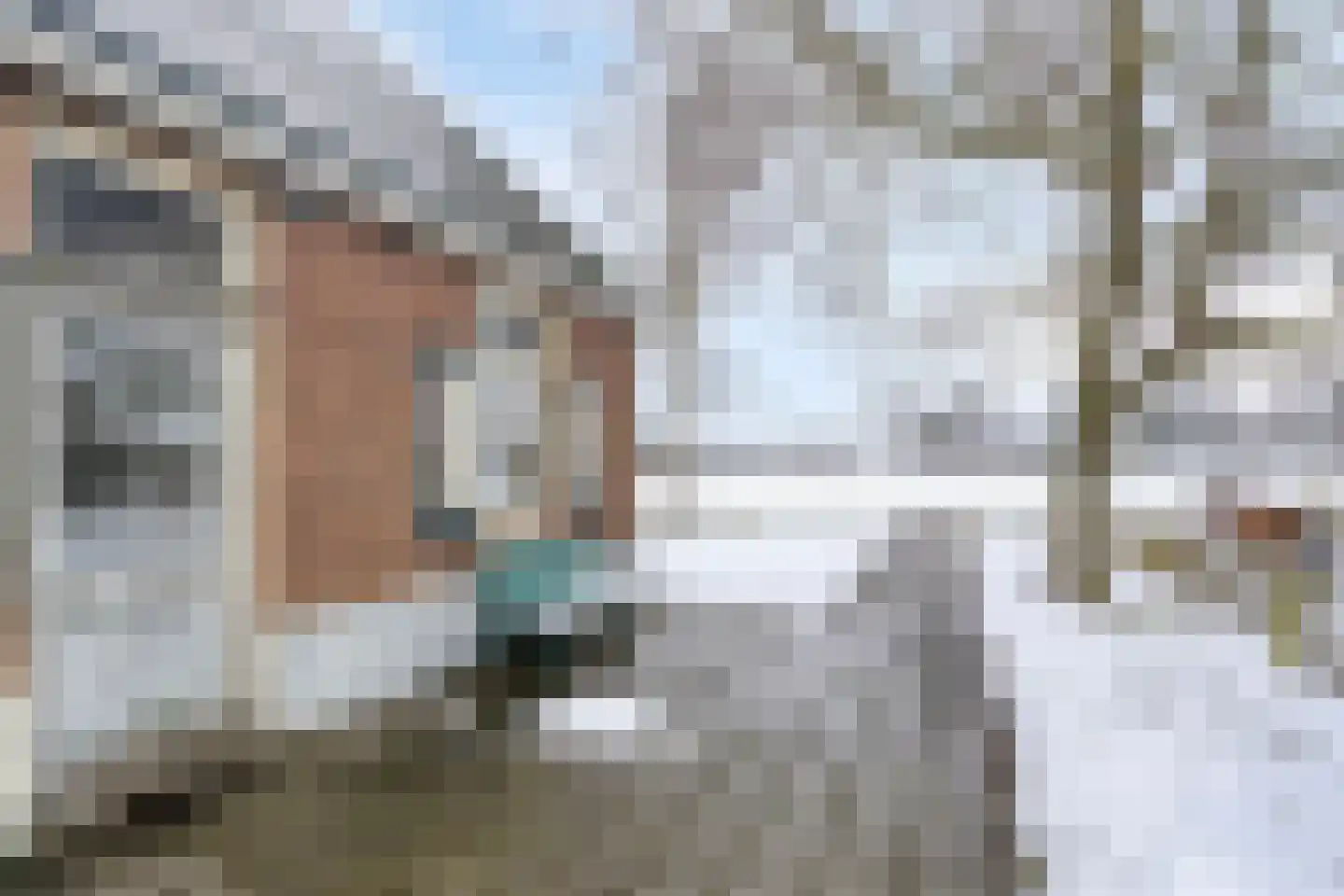 Enkweg 3 Zelhem thumbnail 6