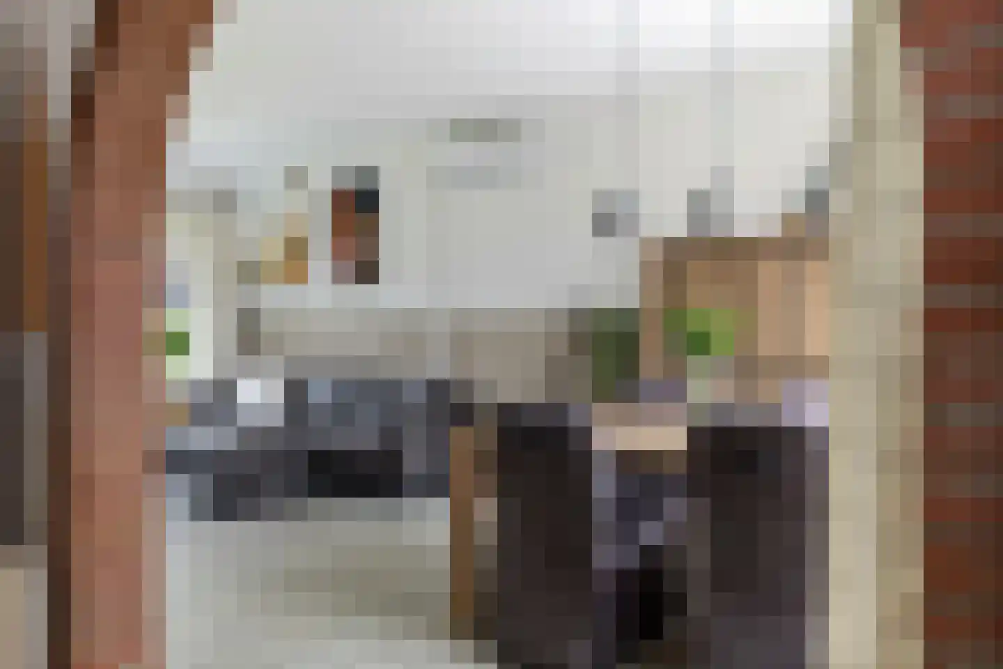 Enkweg 30 Olst thumbnail 10