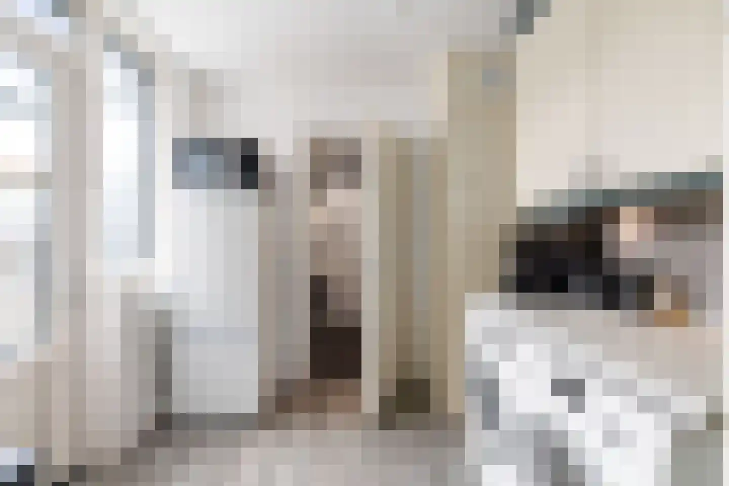Enkweg 30 Olst thumbnail 13