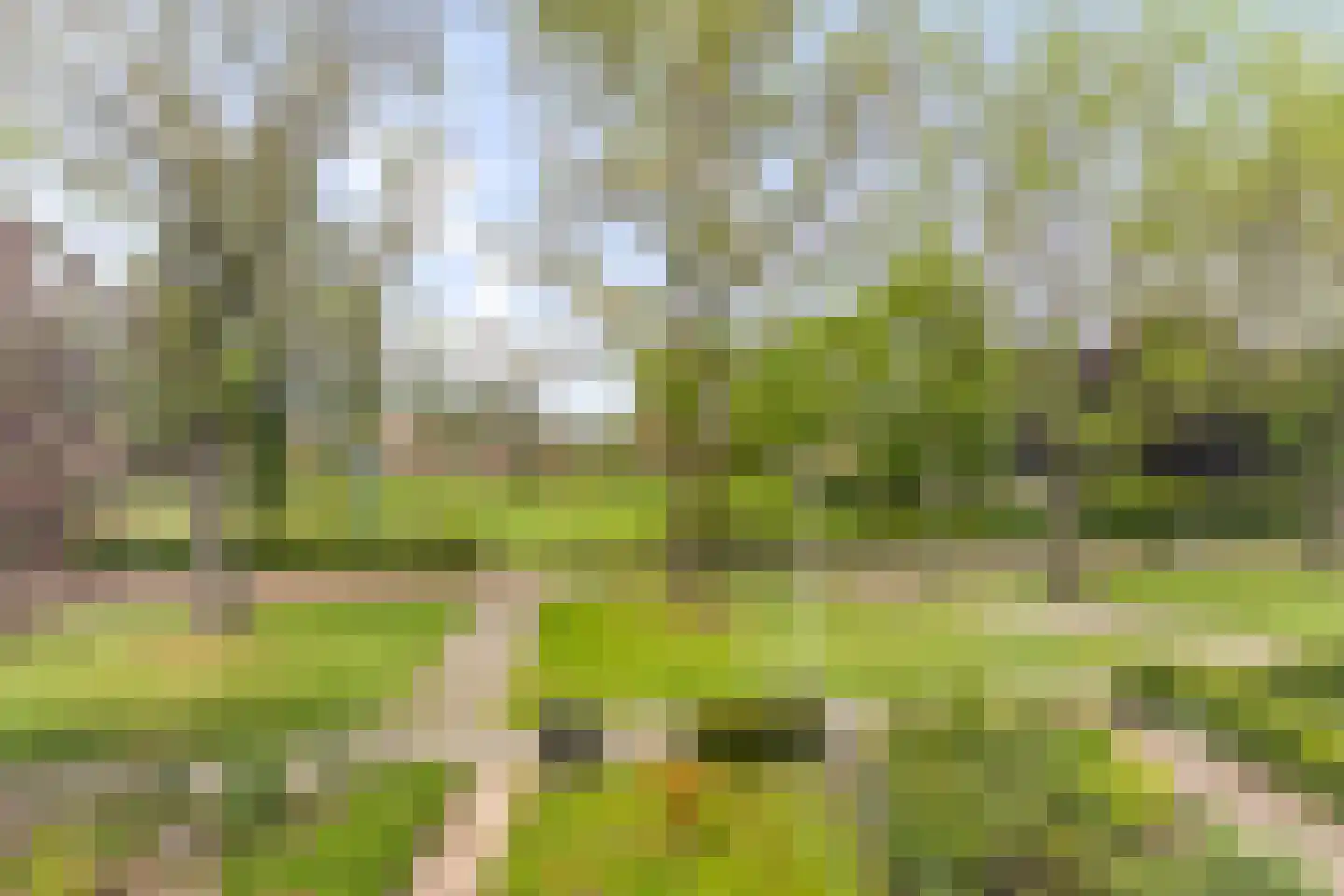 Enkweg 30 Olst thumbnail 26