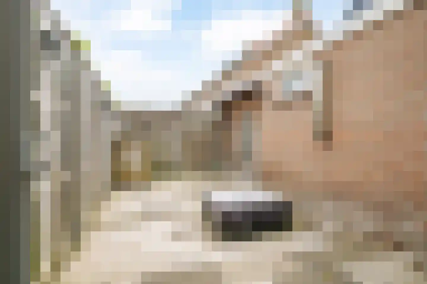 Enkweg 30 Olst thumbnail 27