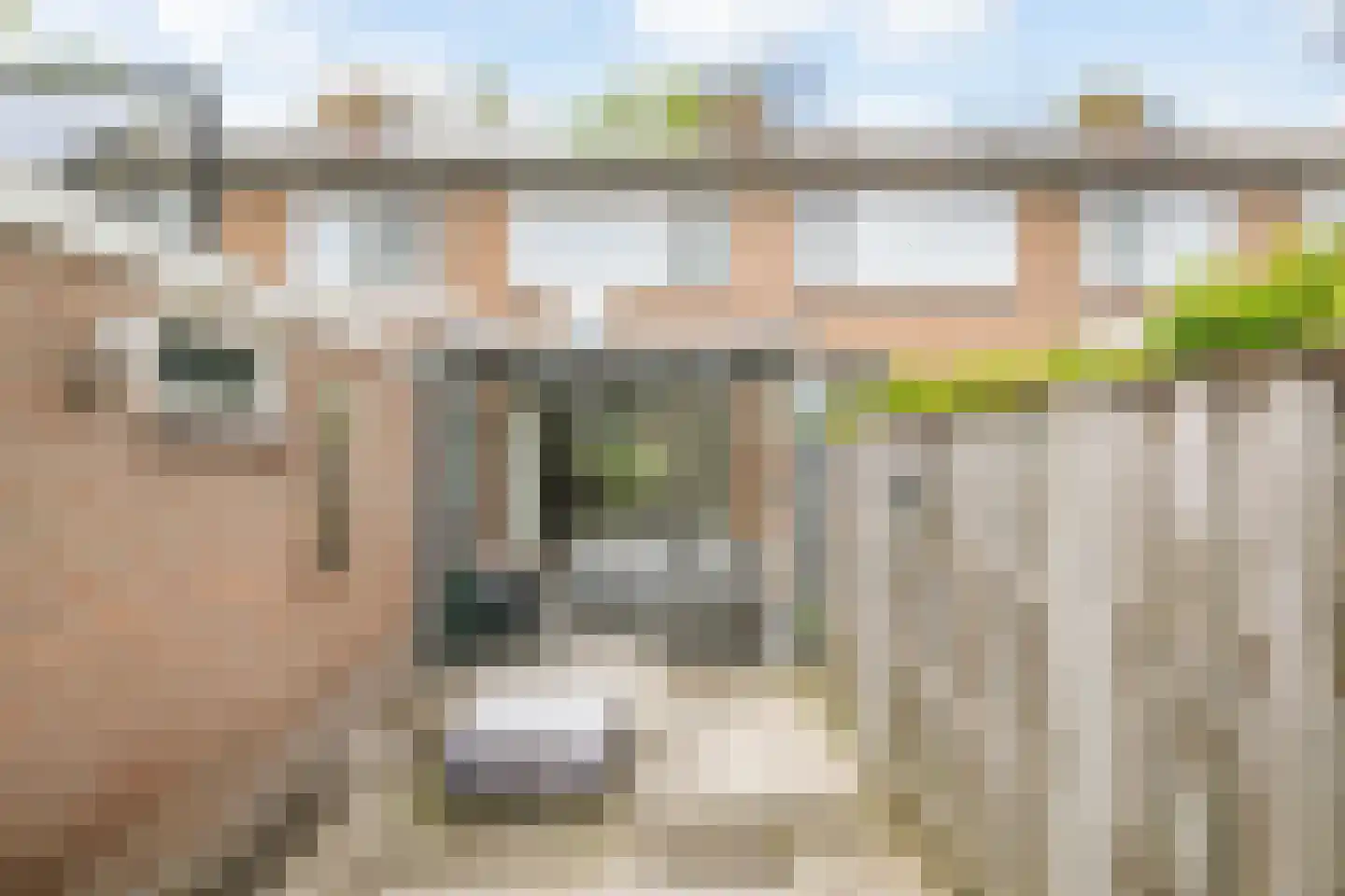Enkweg 30 Olst thumbnail 29