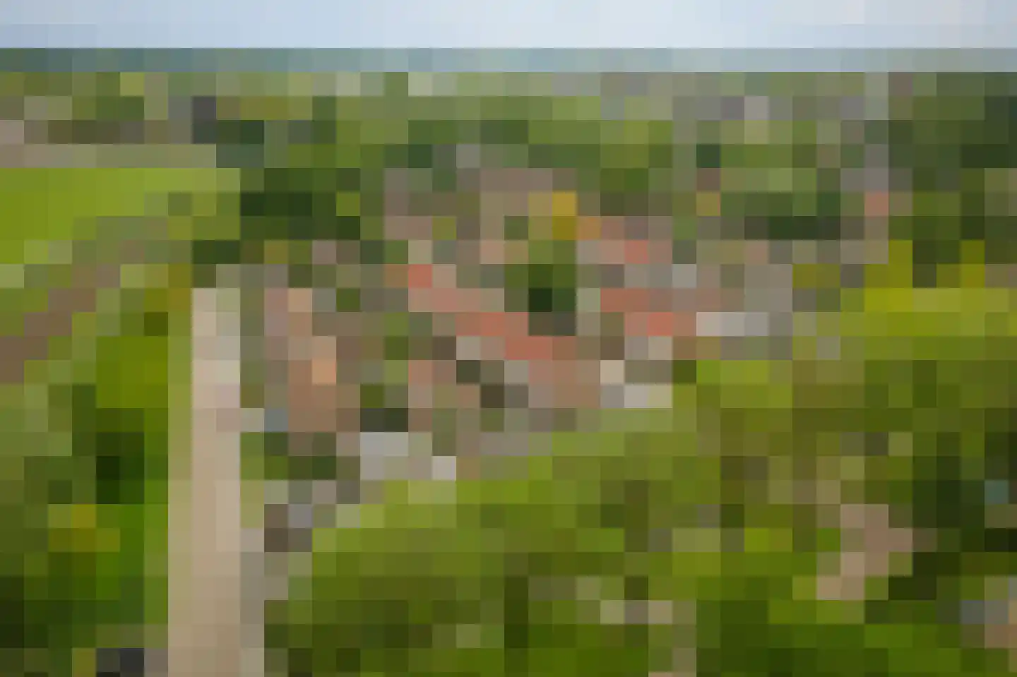 Enkweg 30 Olst thumbnail 31
