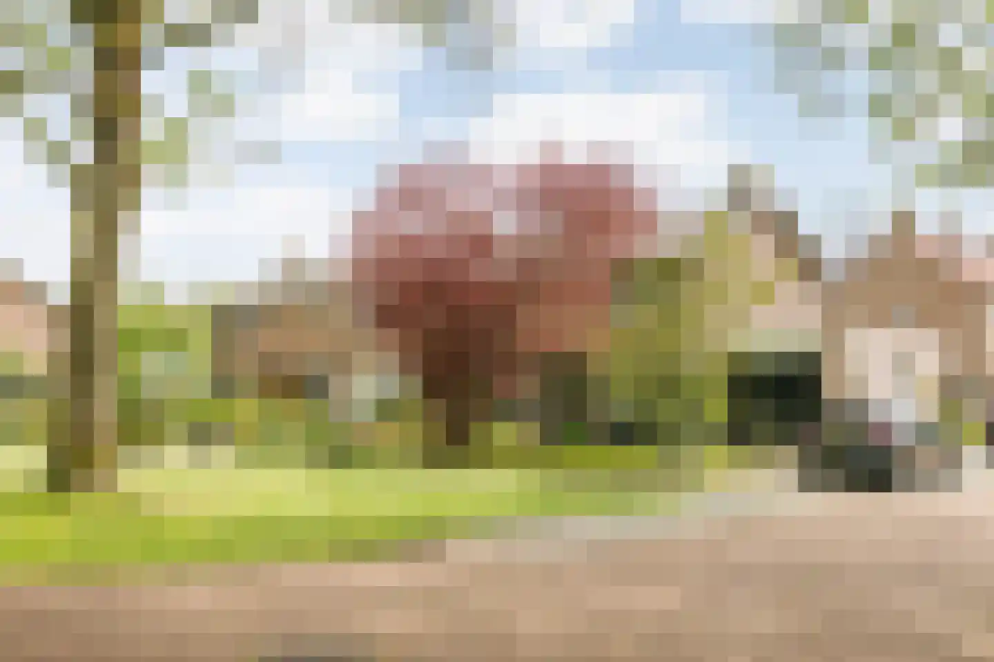 Enkweg 30 Olst thumbnail 32