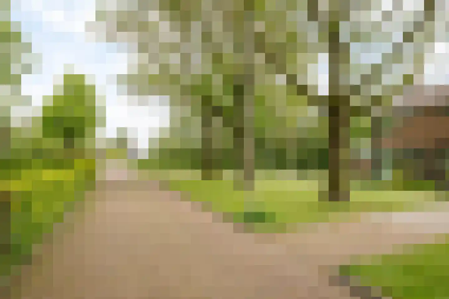 Enkweg 30 Olst thumbnail 35