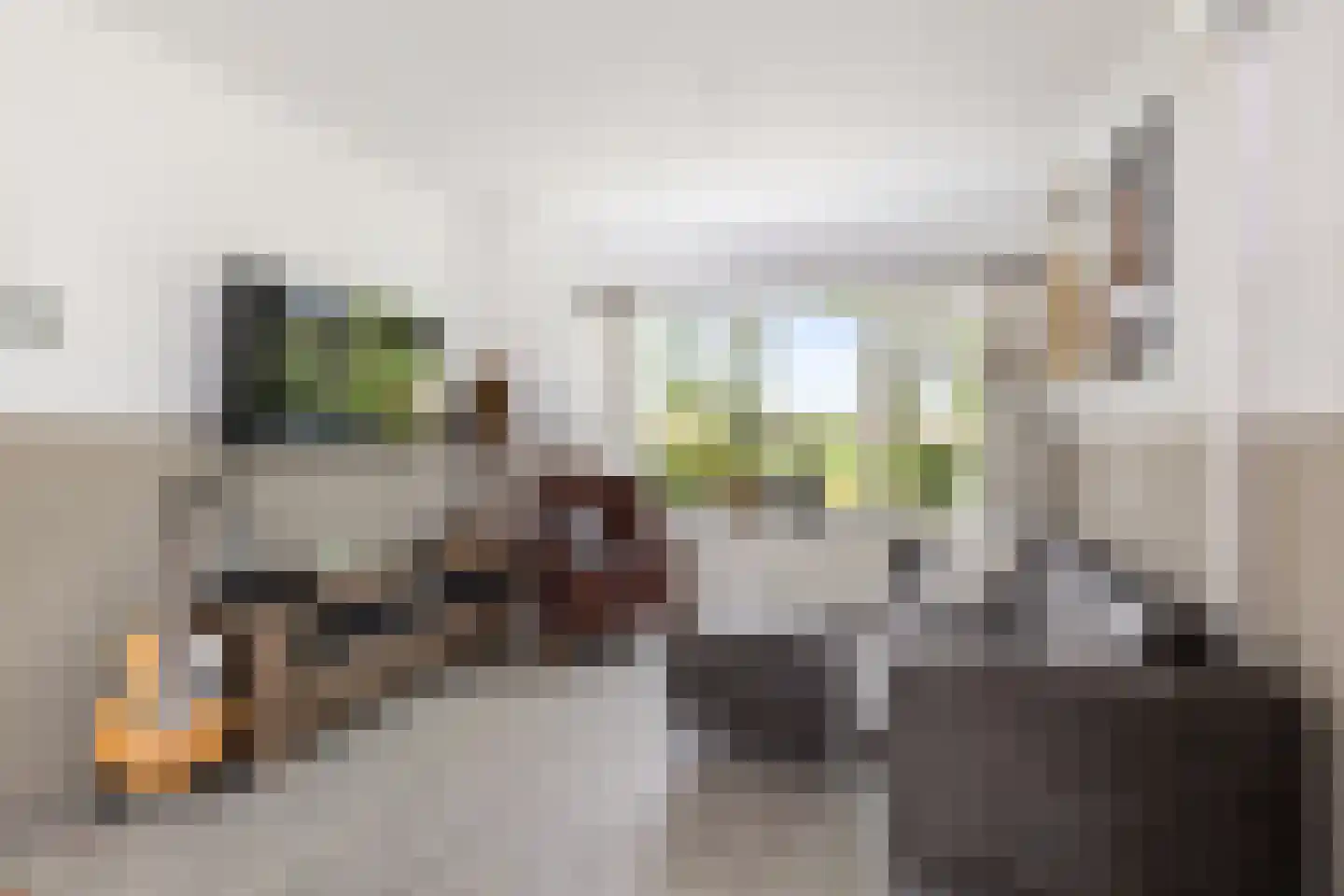 Enkweg 30 Olst thumbnail 7
