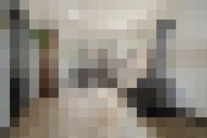 Enkweg 31 Wijhe thumbnail 11