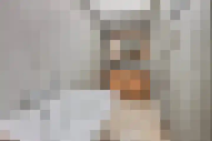 Enkweg 31 Wijhe thumbnail 23