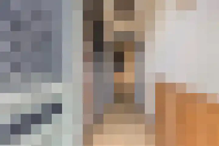 Enkweg 31 Wijhe foto 3