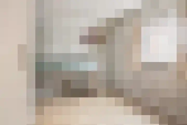 Enkweg 31 Wijhe thumbnail 30