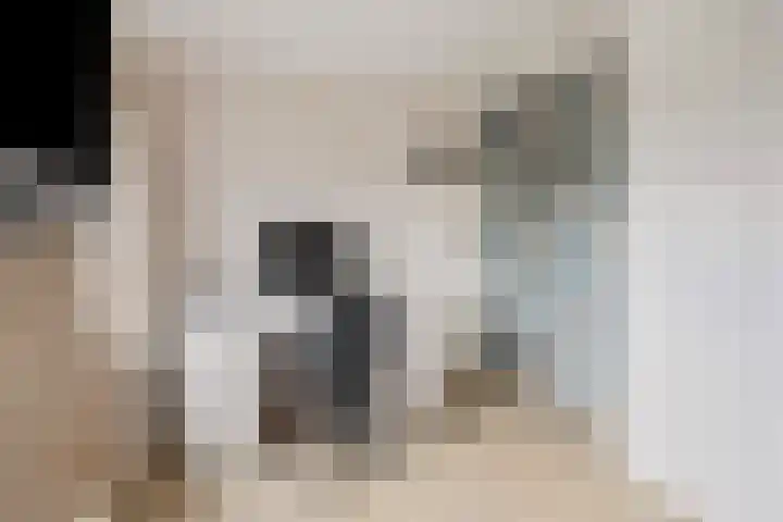 Enkweg 31 Wijhe thumbnail 31
