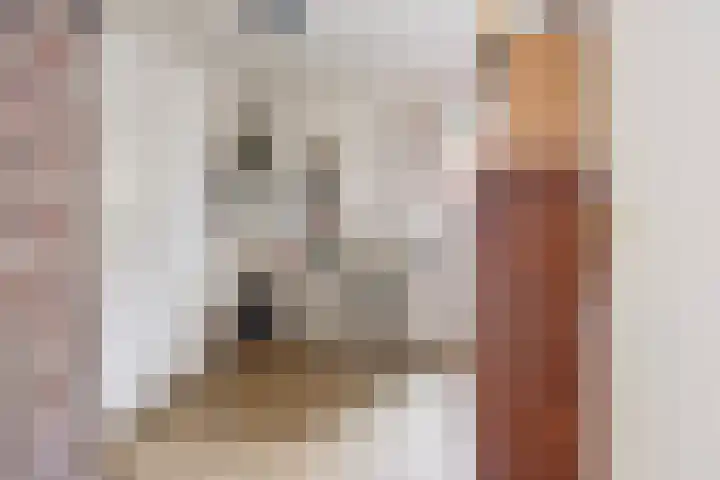 Enkweg 31 Wijhe thumbnail 32