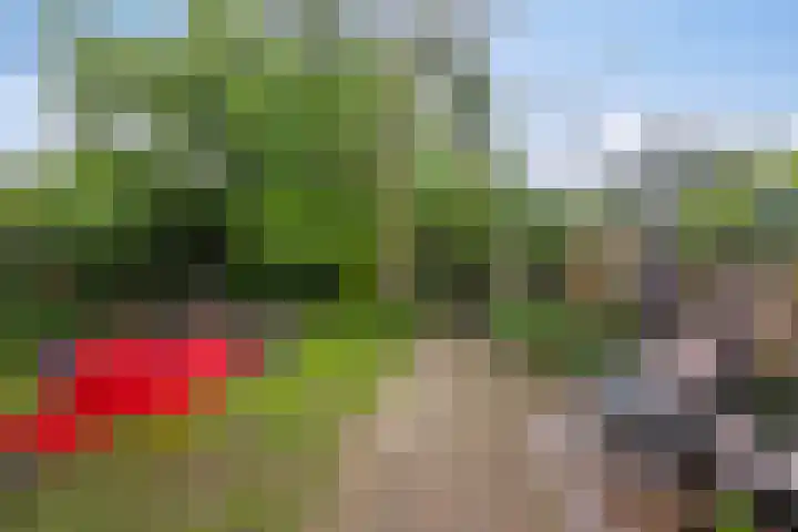 Enkweg 31 Wijhe thumbnail 37