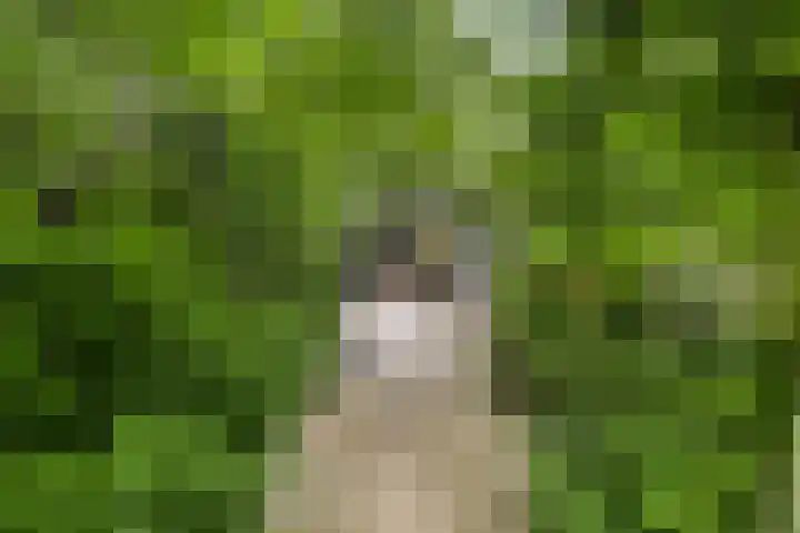 Enkweg 31 Wijhe thumbnail 38