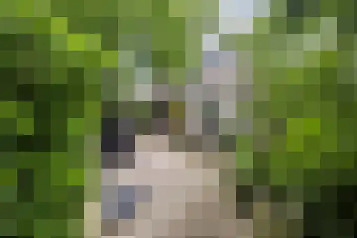Enkweg 31 Wijhe thumbnail 39