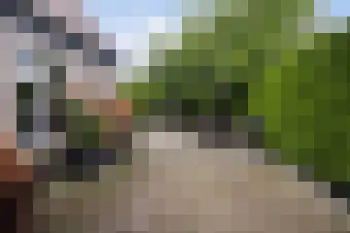 Enkweg 31 Wijhe thumbnail 43