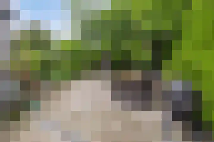 Enkweg 31 Wijhe thumbnail 44