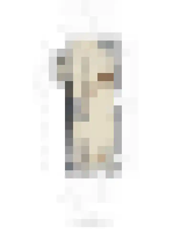 Enkweg 31 Wijhe thumbnail 47