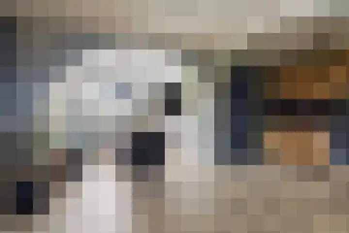 Enkweg 31 Wijhe thumbnail 7