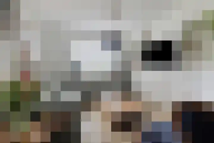 Enkweg 31 Wijhe thumbnail 8