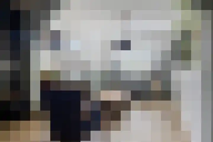Enkweg 31 Wijhe thumbnail 9