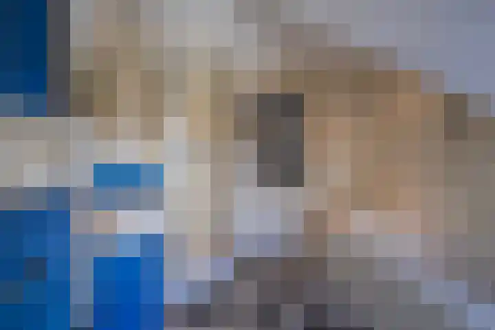 Enkweg 32 Velp thumbnail 36