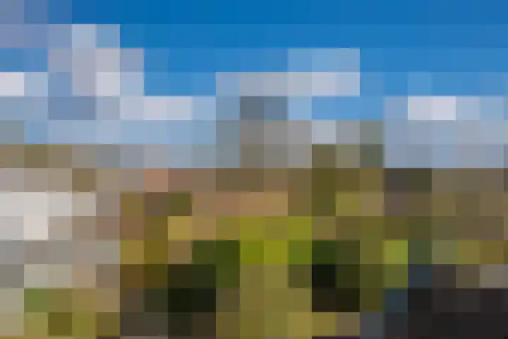 Enkweg 32 Velp thumbnail 41