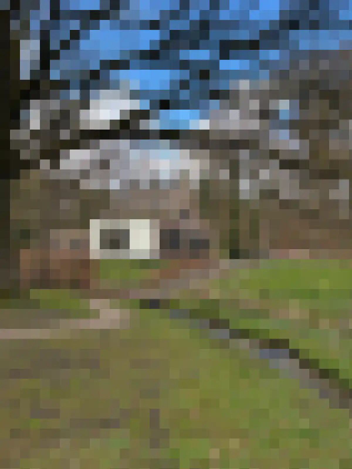Enkweg 32 Velp thumbnail 42
