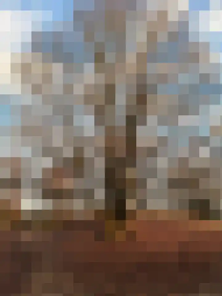 Enkweg 32 Velp thumbnail 45