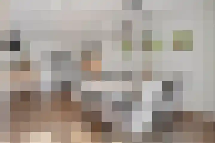 Enkweg 33 Haarle thumbnail 18