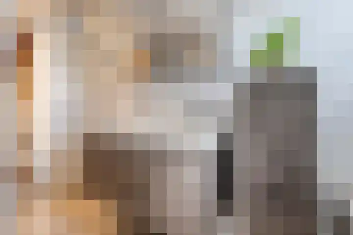 Enkweg 33 Haarle thumbnail 29