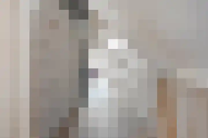 Enkweg 33 Haarle thumbnail 35