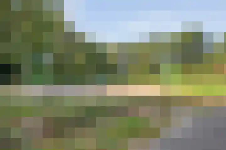 Enkweg 33 Haarle thumbnail 41