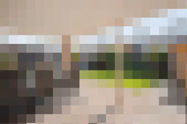 Enkweg 33 Haarle thumbnail 43