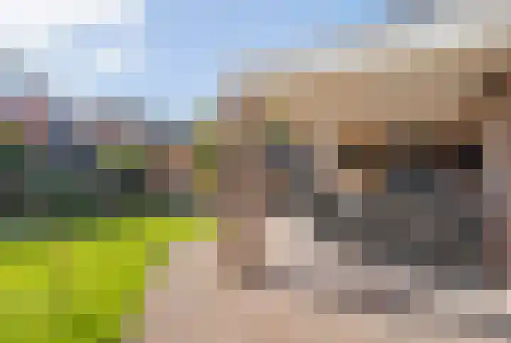 Enkweg 33 Haarle thumbnail 46