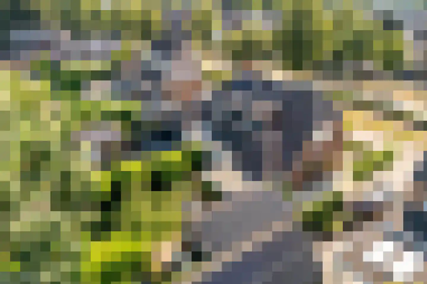 Enkweg 33 Harderwijk thumbnail 37