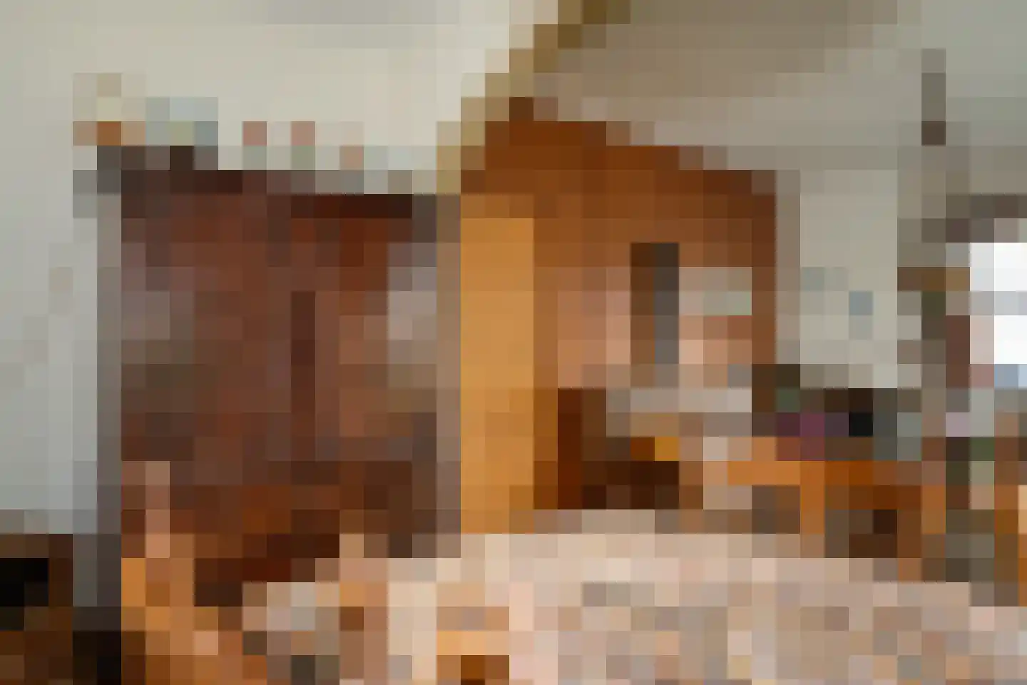 Enkweg 35 Epe thumbnail 11