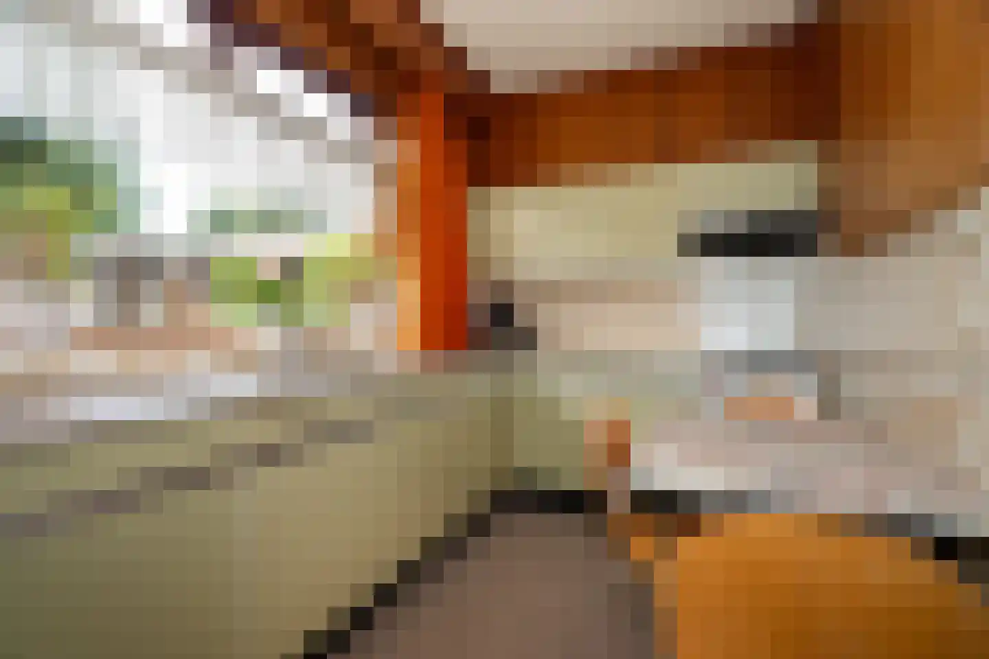 Enkweg 35 Epe thumbnail 12