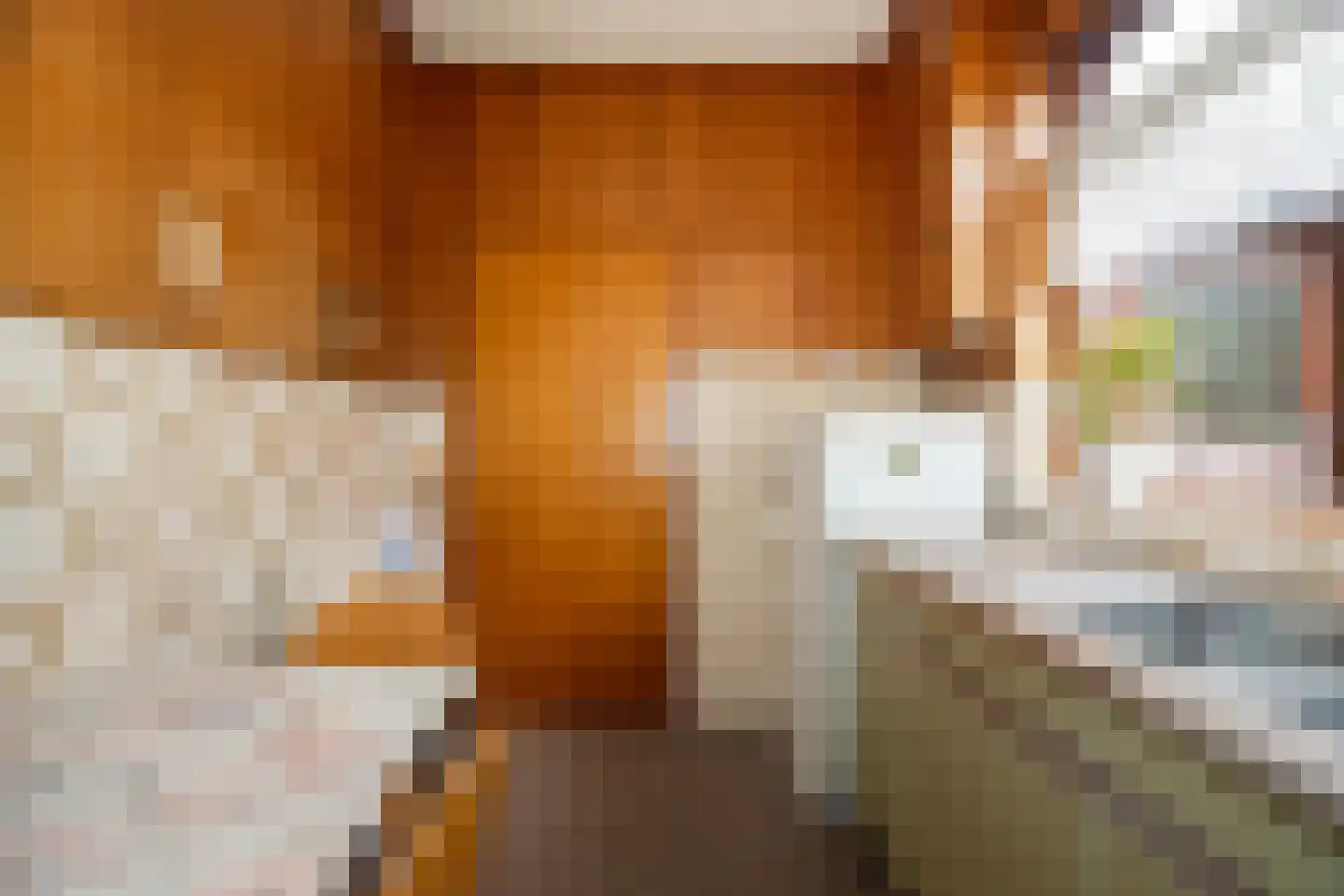 Enkweg 35 Epe thumbnail 13