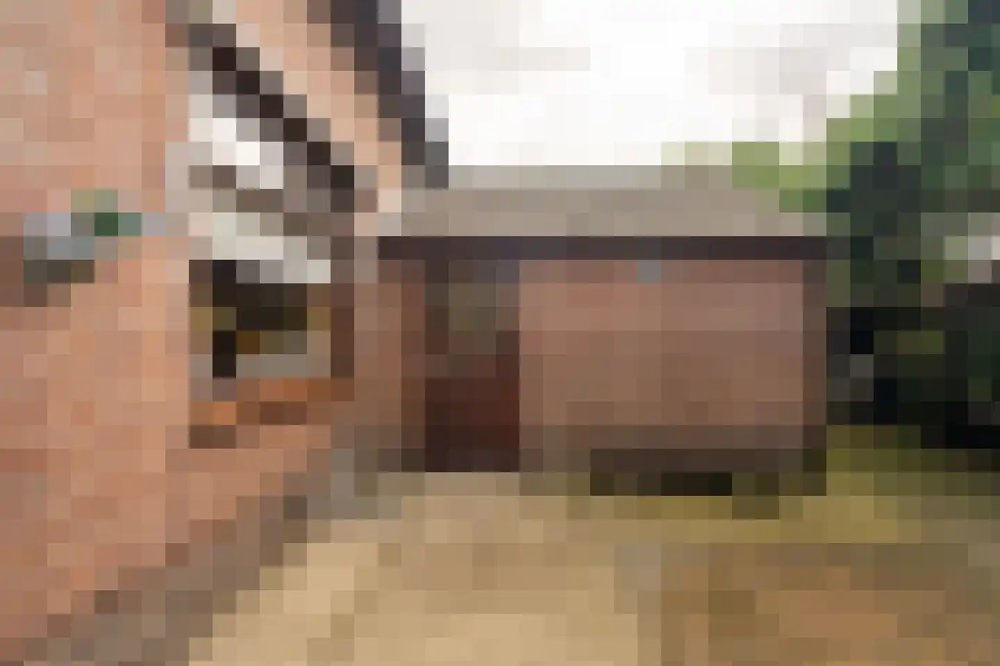 Enkweg 35 Epe thumbnail 26