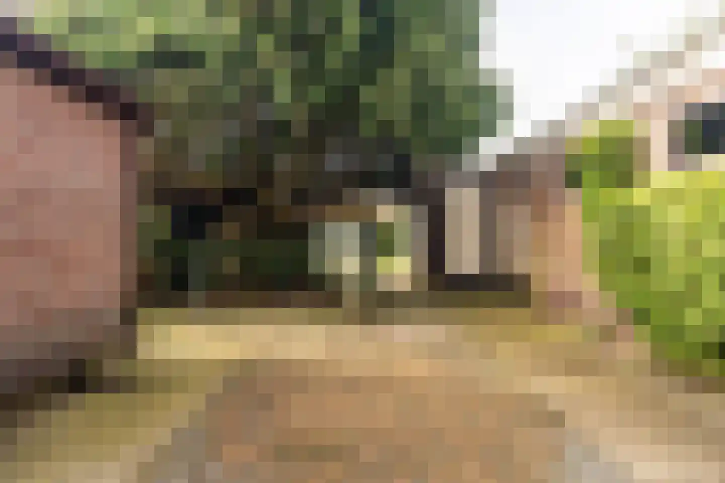 Enkweg 35 Epe thumbnail 27