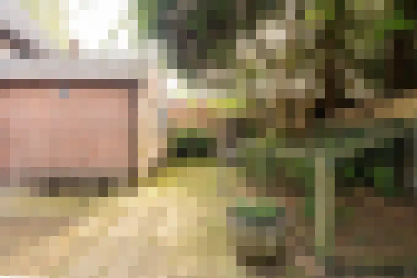 Enkweg 35 Epe thumbnail 28