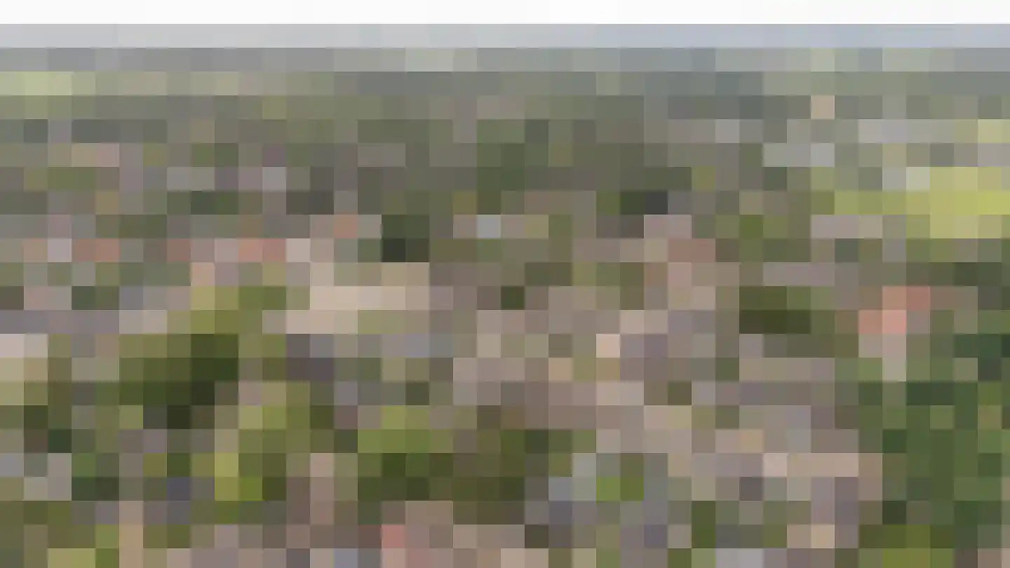 Enkweg 35 Epe thumbnail 33