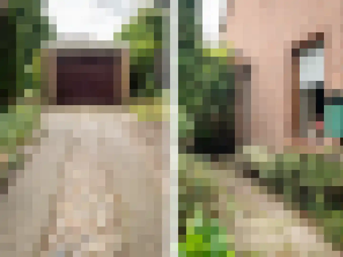 Enkweg 35 Epe thumbnail 6