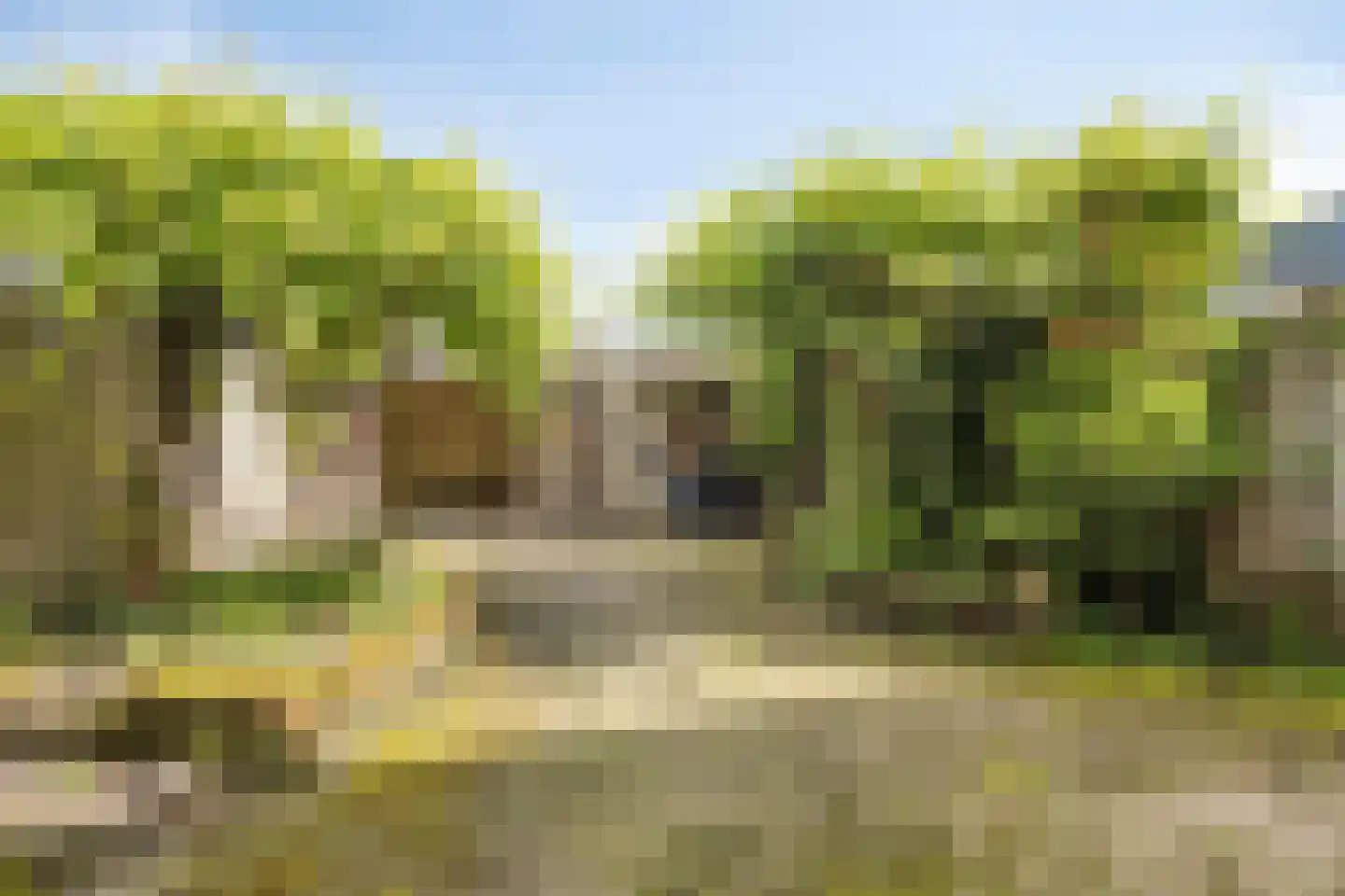 Enkweg 42 Epe thumbnail 27